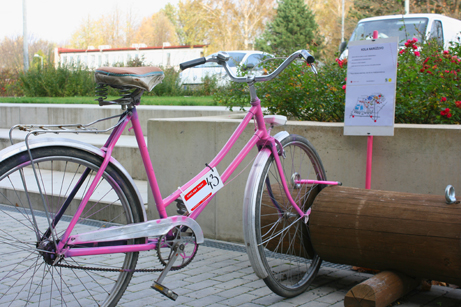 Růžové kolo Růžové kolo